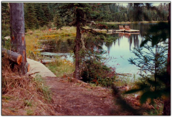 Dock Construction at Lily Lake by Doug Greenfield